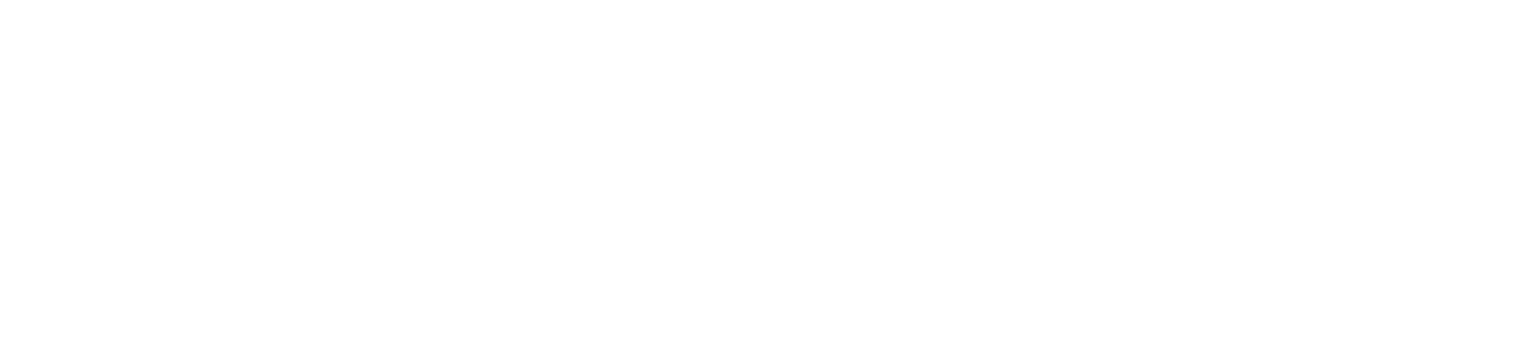 The Willow Nest Hotel